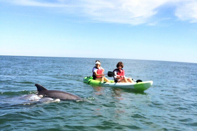 Small Group Dolphin Kayak Eco-Tour - Final Thoughts: Who Will Love This Tour?