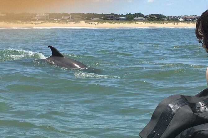 Small Group Dolphin Kayak Eco-Tour - FAQ