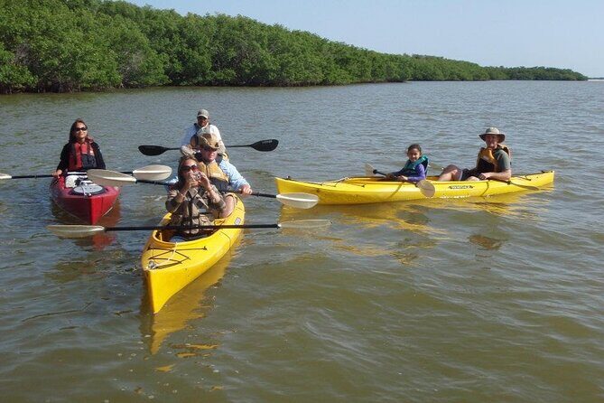 Small-Group Everglades Boating Kayaking and Walking Eco Tour - Discovering the Everglades: An In-Depth Review