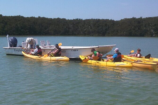 Small-Group Everglades Boating Kayaking and Walking Eco Tour - Who Should Book This Tour?