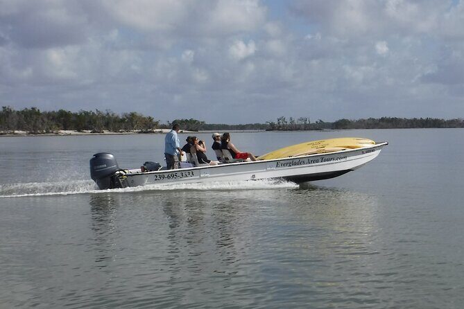 Small-Group Everglades Boating Kayaking and Walking Eco Tour - The Sum Up: Is It Worth It?
