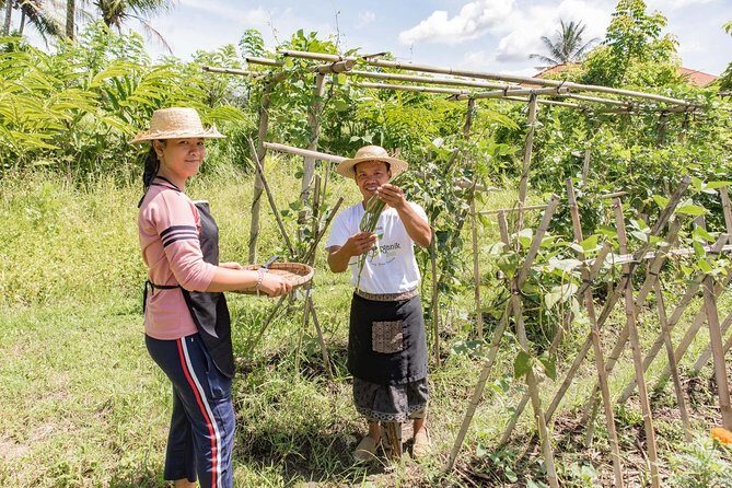 Small-Group Farm Tour & Balinese Cooking Class in Ubud with Kadek - An In-Depth Look at the Ubud Farm & Cooking Experience