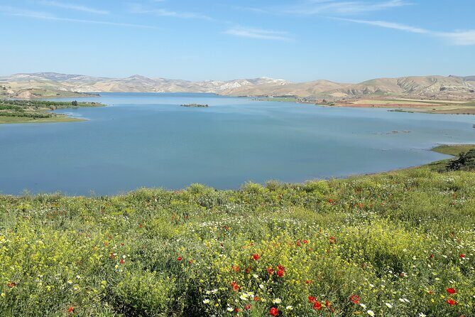 Small-Group Full-Day Meknes, Volubilis and Moulay Idriss Zerhoun Tour from Fez - Who Should Consider This Tour?