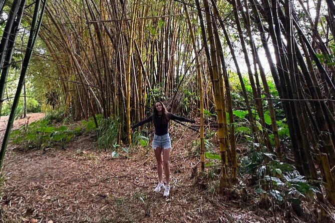 Small Group Full Day Road to Hana Adventure - Final Thoughts