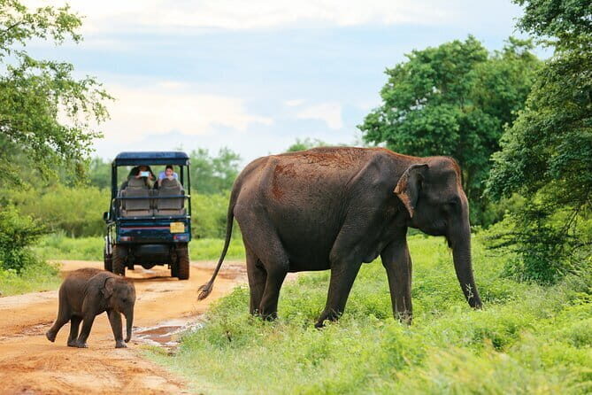 Small Group Galle Fort City Walking Tour - FAQ