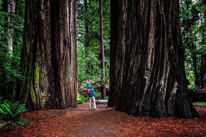Small-Group Giant Redwoods and Russian River Wine Country Trip - Frequently Asked Questions