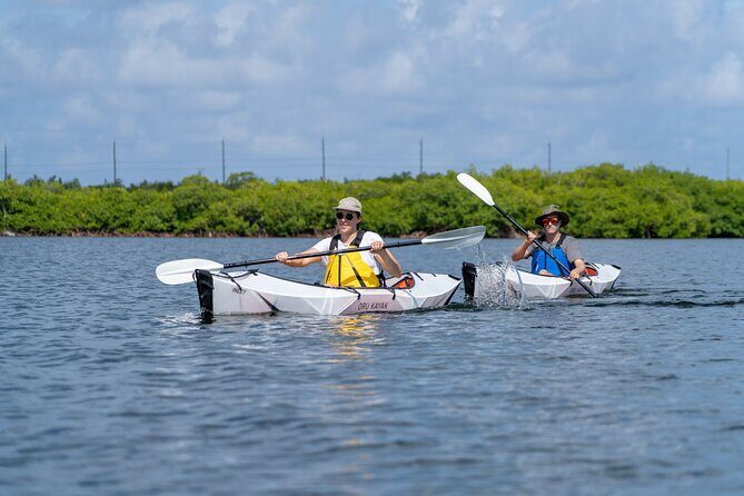 Small Group Glass Bottom Kayak Adventure- Cayman Islands - Key Points