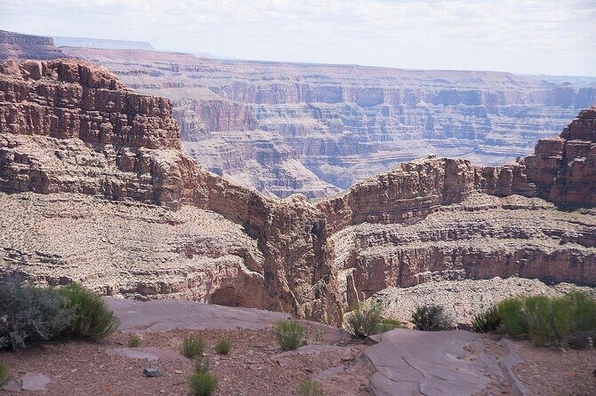 Small Group Grand Canyon, Hoover Dam and Joshua Tree Forest Tour - The Sum Up