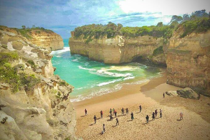 Small group Great Ocean Road Reverse & Wildlife spotting - An Introduction to the Tour Experience
