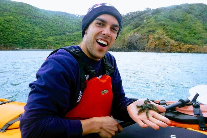 Small group guided sea kayaking in Akaroa marine reserve - An In-Depth Look at the Akaroa Marine Reserve Kayaking Tour