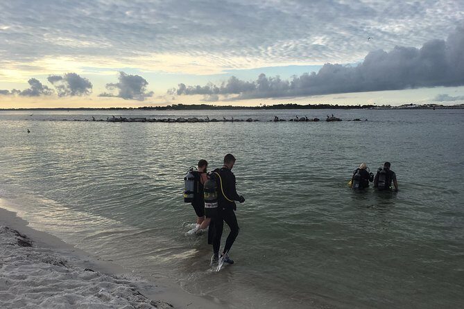 Small Group Guided Shore Dives in St. Andrews State Park, Florida - What to Expect from Your Shore Dive Adventure