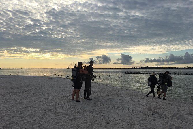 Small Group Guided Shore Dives in St. Andrews State Park, Florida - The Experience from Reviews