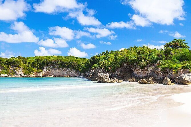 Small Group: Half-Day Cultural Tour of Punta Cana - What to Expect from the Transportation and Group Dynamics