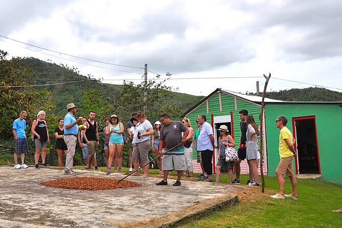 Small Group: Half-Day Cultural Tour of Punta Cana - Who Will Love This Tour?