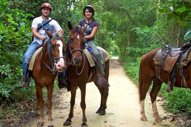 Small Group: Half Day Punta Cana Cultural Tour - Who Will Love This Tour?