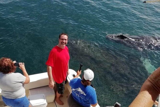 Small-Group Half-Day Whale-Watching Tour in Puerto Vallarta - Cost & Value