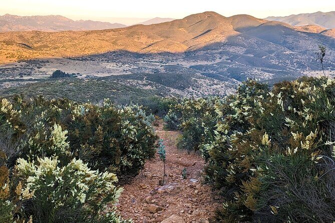 Small Group Hike Through San Diego's Heart and Soul - Exploring San Diego’s Natural and Cultural Landscape
