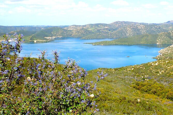 Small Group Hike Through San Diego's Heart and Soul - The Sum Up