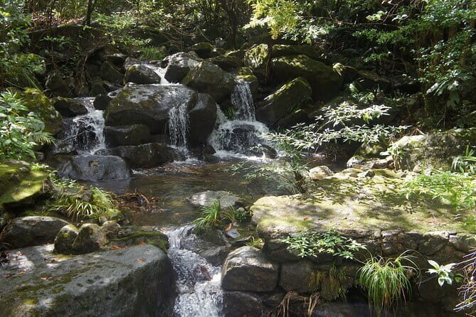 Small Group Hike to Ma On Shan Highland - An Honest Look at the Ma On Shan Highland Hike