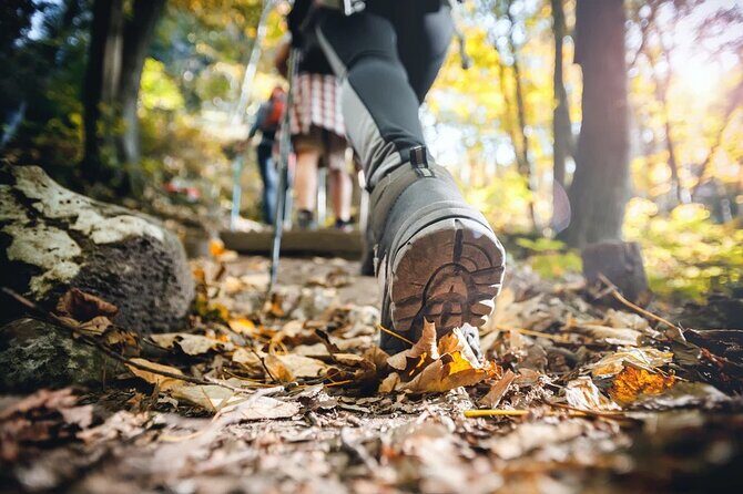 Small Group Hiking Around The Pinecrest Lake Trail - An In-Depth Look at the Pinecrest Lake Hike