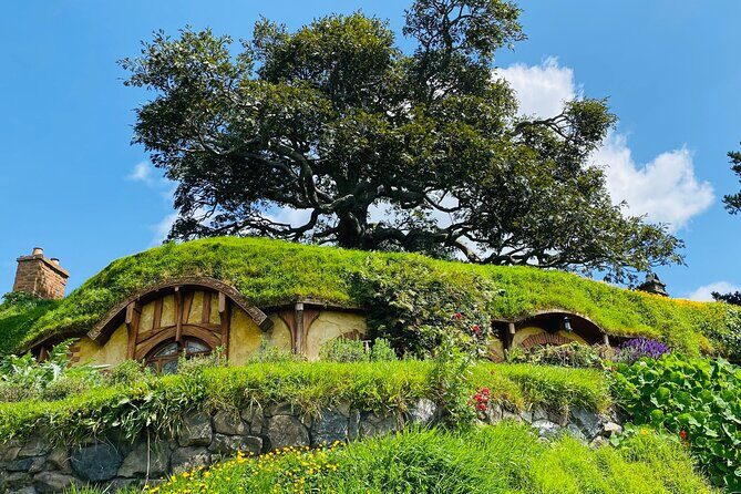 Small Group Hobbiton Movie Set from Tauranga - Introduction