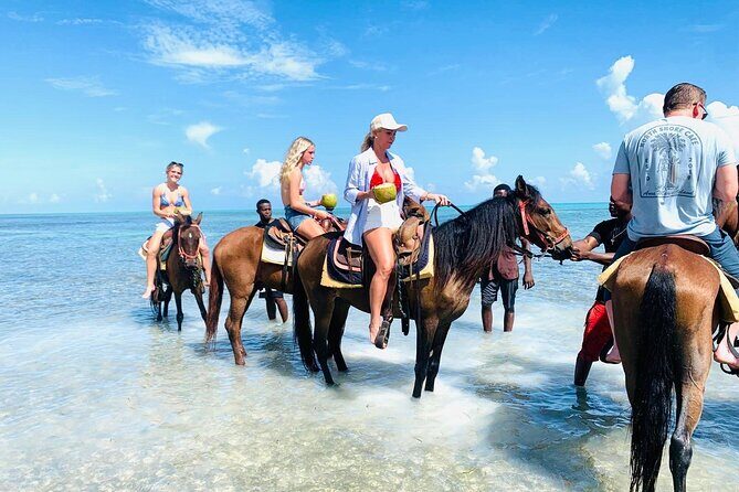 Small Group Horseback Riding Adventure in Caicos Islands - What This Tour Offers and Why It Matters