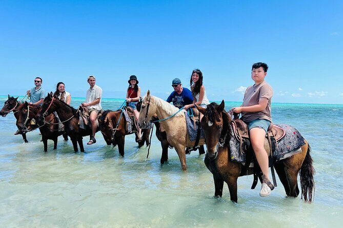 Small Group Horseback Riding Adventure in Caicos Islands - Practicalities and Considerations
