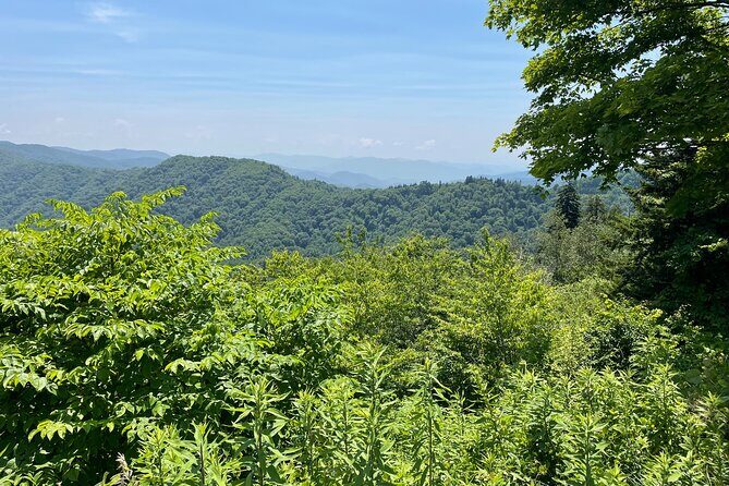 Small-Group Jeep Tour of Smoky Mountains Foothills Parkway - Frequently Asked Questions