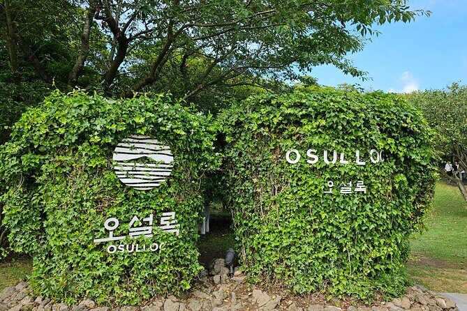 Small group Jeju private Full-Day Tour of East and South and West - What You Can Expect from the Jeju Full-Day Private Tour