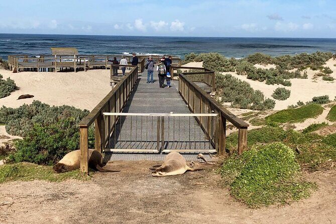 Small Group Kangaroo Island Tour - Best of KI - The Value of This Tour