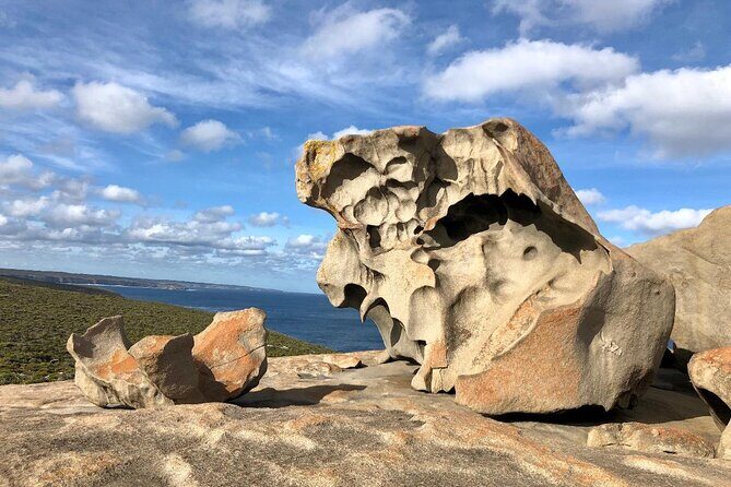 Small Group Kangaroo Island Tour - Best of KI - Who Should Book This Tour?