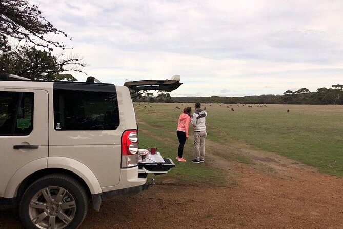 Small Group Kangaroo Island Tour - Flinders Chase - What Do Travelers Say?