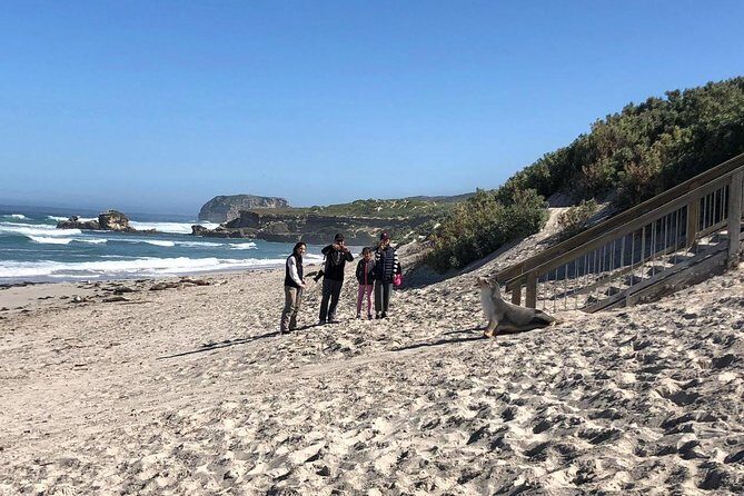 Small Group Kangaroo Island Tour - Seal Bay - Key Points