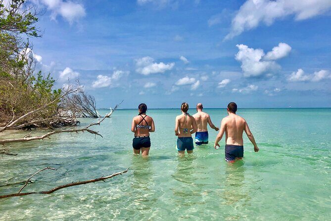 Small Group Kayak Tour of the Shell Key Preserve - An In-Depth Look at the Tour