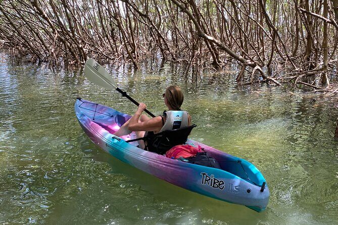 Small Group Kayak Tour of the Shell Key Preserve - FAQ