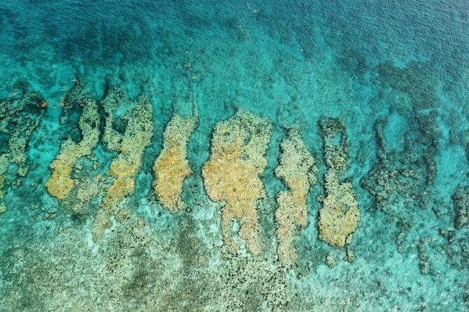 Small Group Key West Snorkel Adventure - Equipment and Comfort