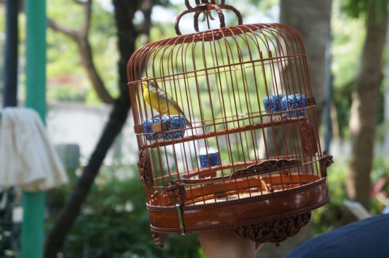 Small-group Kowloon Markets Walking Tour - What We Learned from Reviews