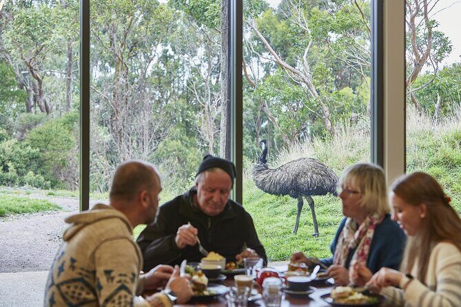 Small Group Luxe Bus Great Ocean Road Coastal Spectacular Tour - Final Thoughts