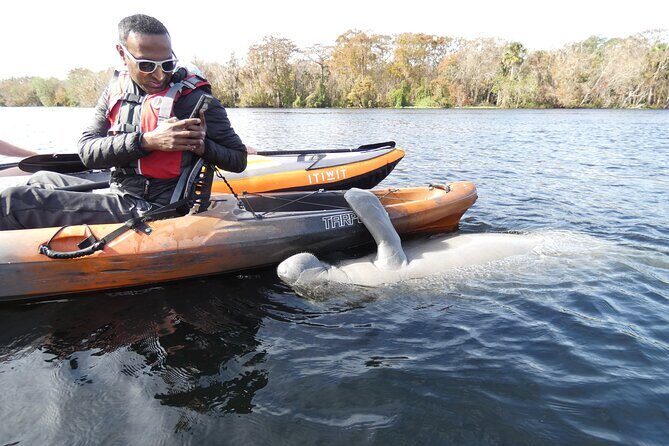 Small Group Manatee Discovery Kayak Tour near Orlando - An In-Depth Look at the Experience