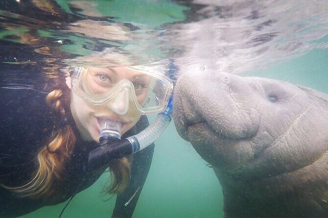 Small Group Manatee Snorkel Tour with In-Water Guide and Photographer - Why This Tour Stands Out