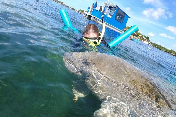 Small Group Manatee Snorkel Tour with In-Water Guide and Photographer - Who Will Love This Tour?