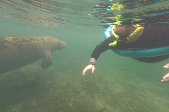 Small Group Manatee Snorkel Tour with In-Water Guide and Photographer - In Closing