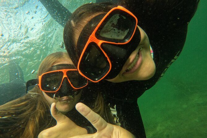 Small Group Manatee Swim Tour With Free Photos - What Makes This Tour Special?