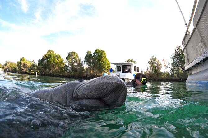 Small Group Manatee Swim Tour With Free Photos - Itinerary Breakdown