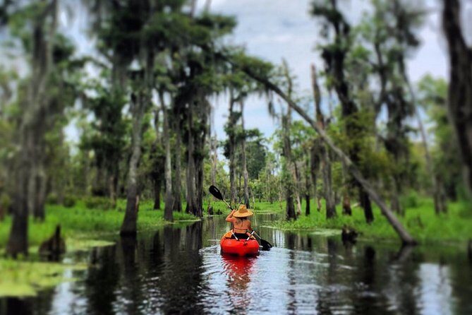 Small-Group Manchac Swamp Kayak Tour - An In-Depth Look at the Tour Experience