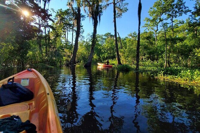 Small-Group Manchac Swamp Kayak Tour - The Value of the Experience