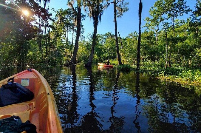 Small-Group Manchac Swamp Kayak Tour - Who Will Love This Tour?