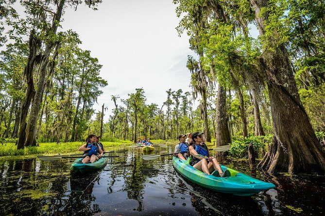 Small-Group Manchac Swamp Kayak Tour with Local Guide - An Overview of the Experience