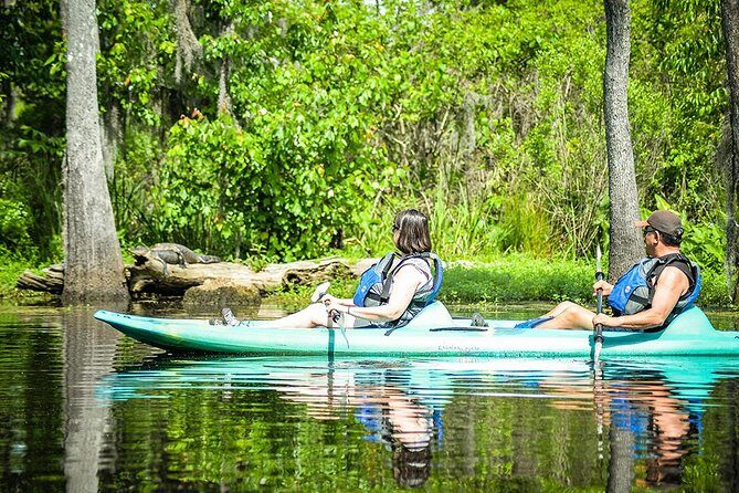 Small-Group Manchac Swamp Kayak Tour with Local Guide - The Itinerary in Detail