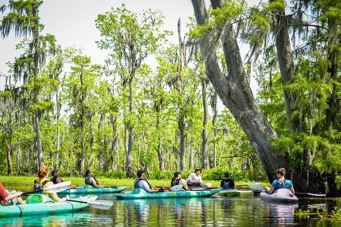 Small-Group Manchac Swamp Kayak Tour with Local Guide - FAQ